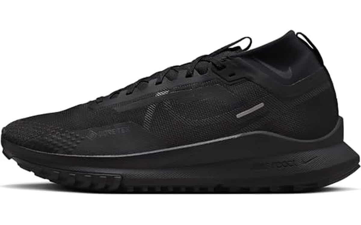 Test : nike react pegasus trail 4 Gore-Tex v2, baskets homme