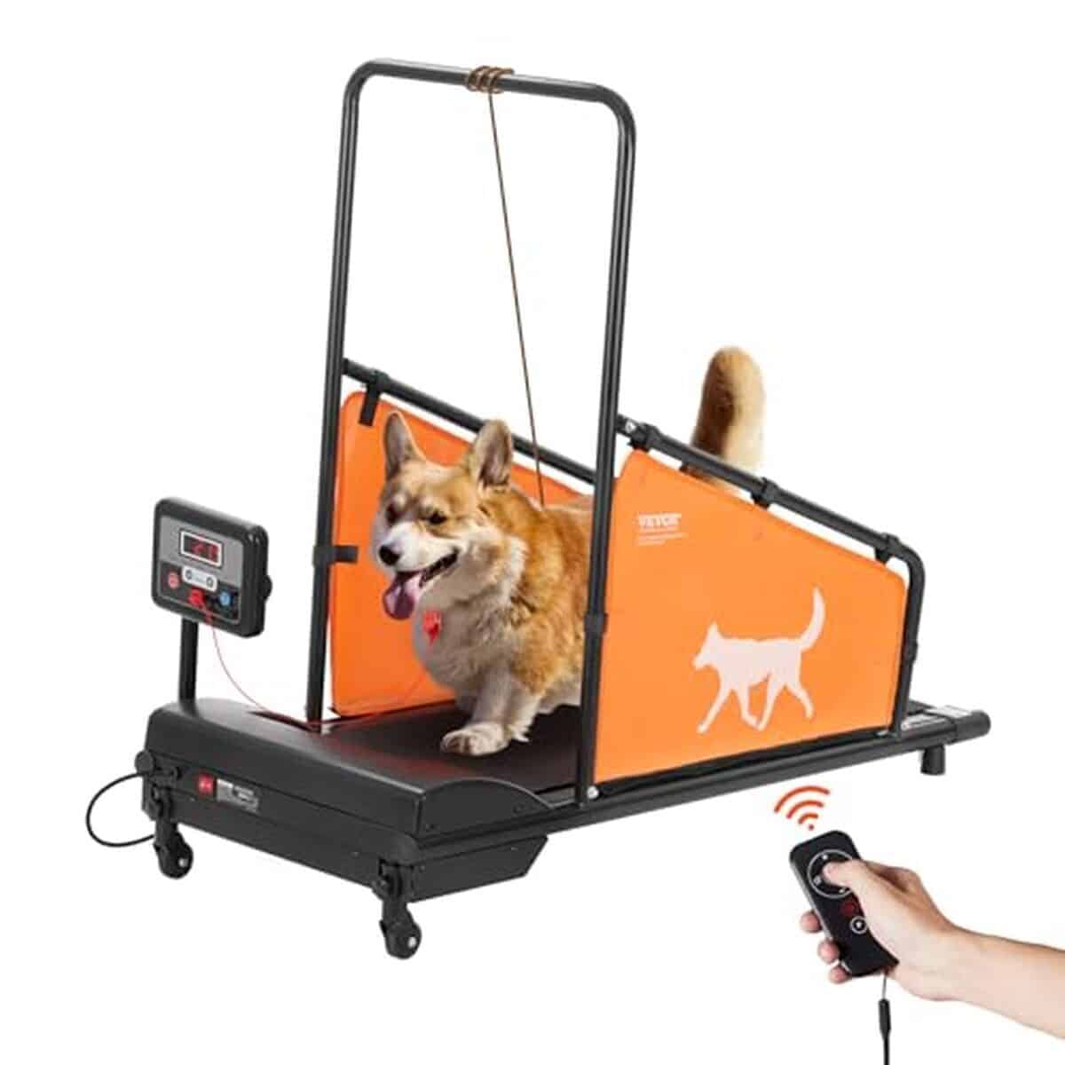 Test du tapis de marche VEVOR pour chiens de taille moyenne